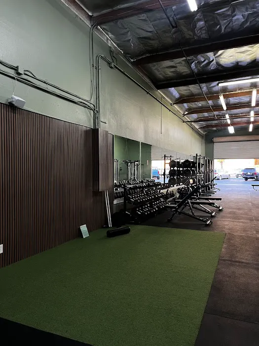 Luna Strength Picture 3