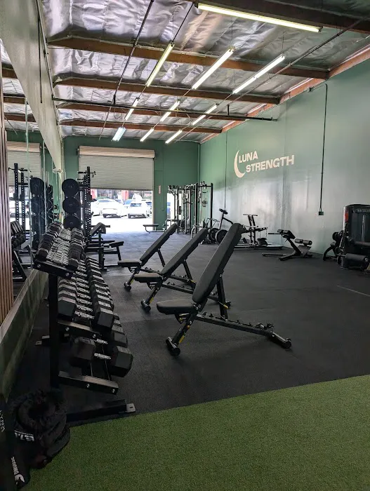 Luna Strength Picture 4