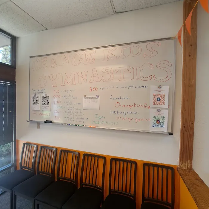 Orange Kids Gymnastics Picture 2