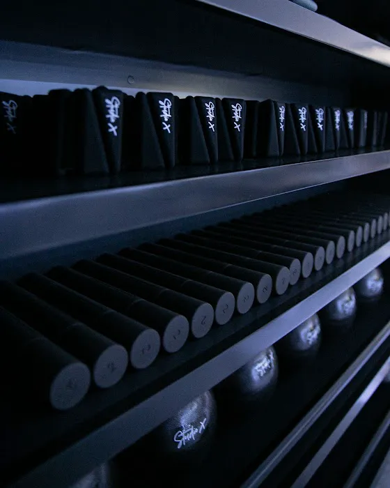 Studio X [Orange] Picture 1