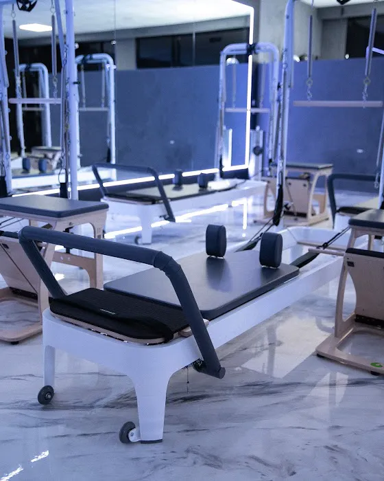 Studio X [Orange] Picture 2