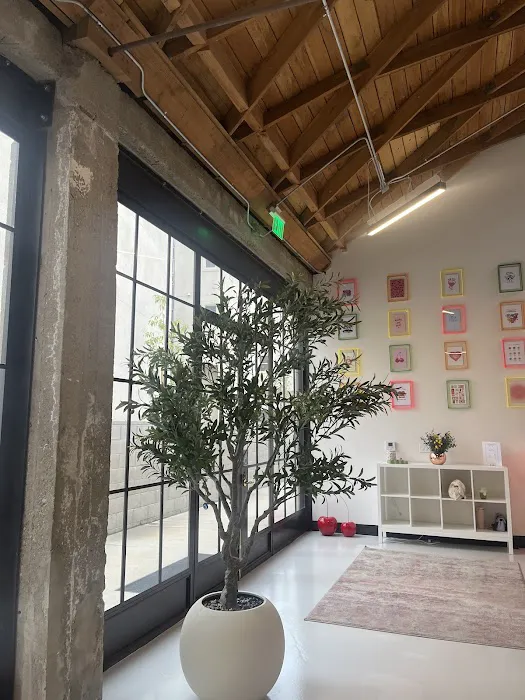 Luminous Physique Picture 2