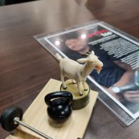 Snap Fitness San Marino (Huntington Drive) ico