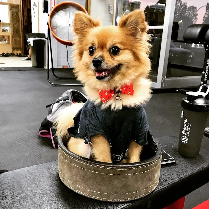 99 Barbell Fitness Picture 5