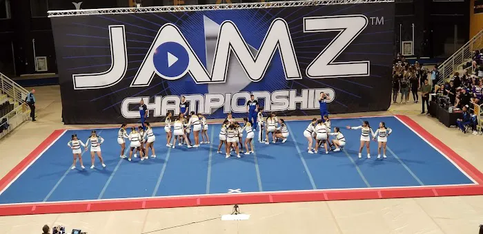 Vibe Cheer Picture 1