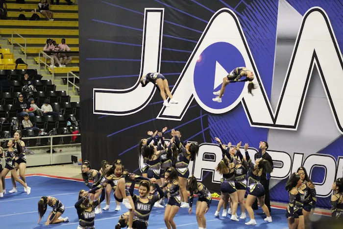 Vibe Cheer Picture 2