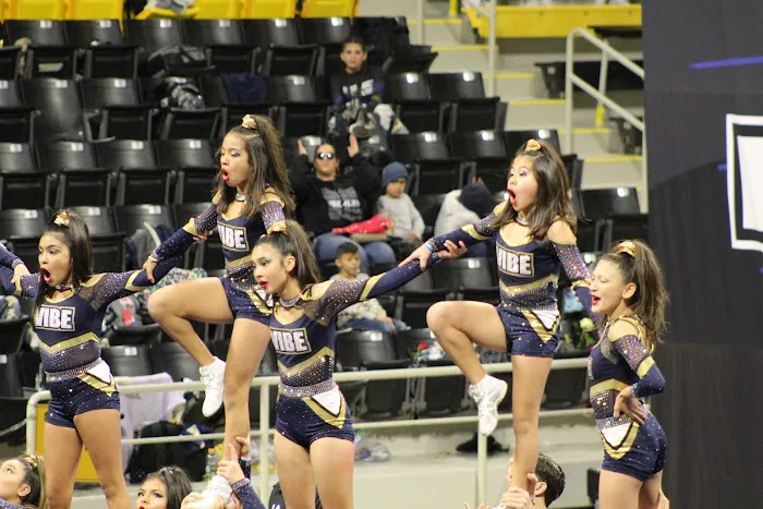 Vibe Cheer Picture 3