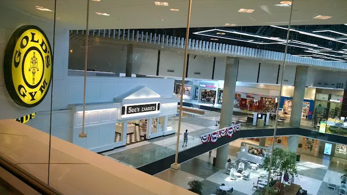 Gold's Gym Arcadia Picture 7