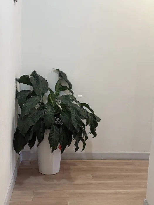 U Plus Fit Picture 1