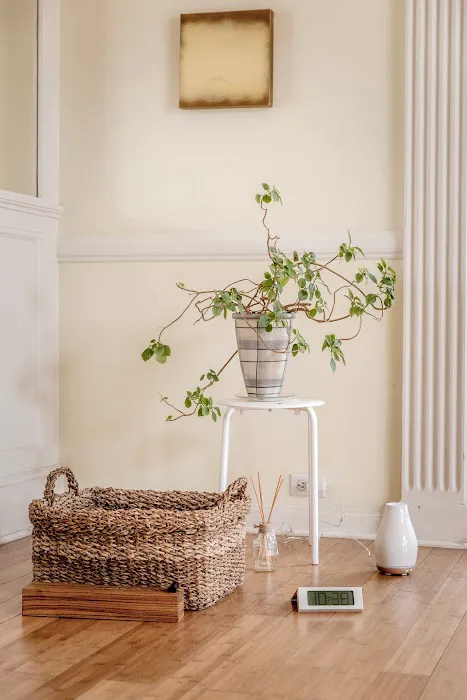 Art of Living Studio Picture 3