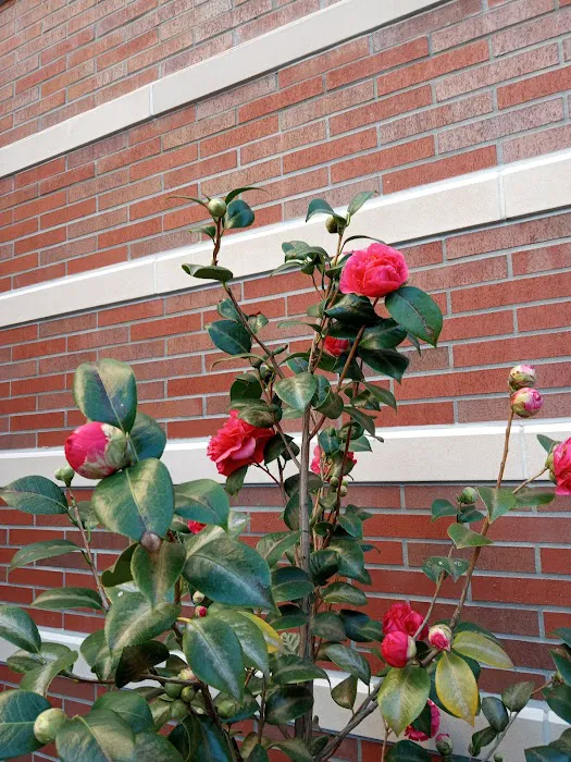 Lyon Recreation Center Picture 10