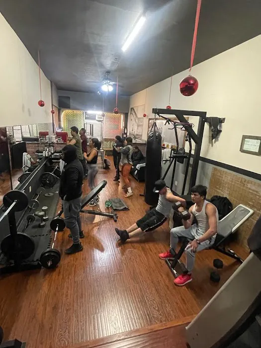 Fearless Nutrition & Fitness Picture 6