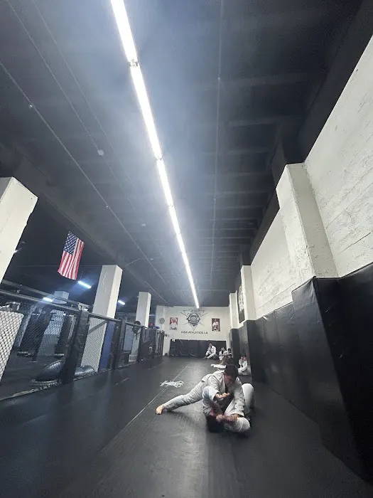 Rise Athletics LA: Best HIIT, MMA & Kickboxing Classes in Los Angeles CA Picture 7