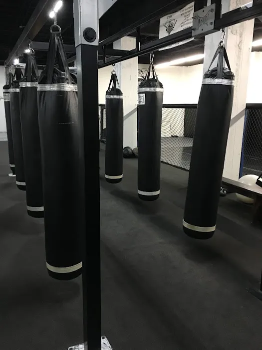 Rise Athletics LA: Best HIIT, MMA & Kickboxing Classes in Los Angeles CA Picture 2