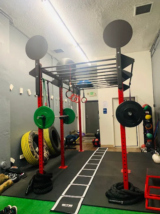 abf elizabeth Picture 4