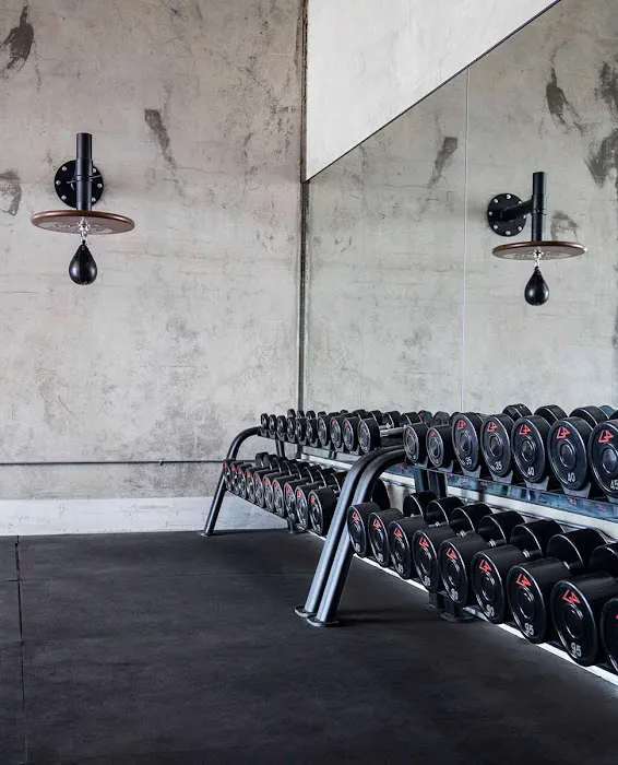 Global Fitness Studio Picture 5