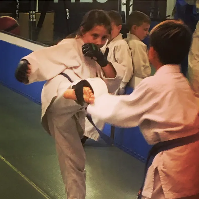 Yoshida Dojo Picture 8