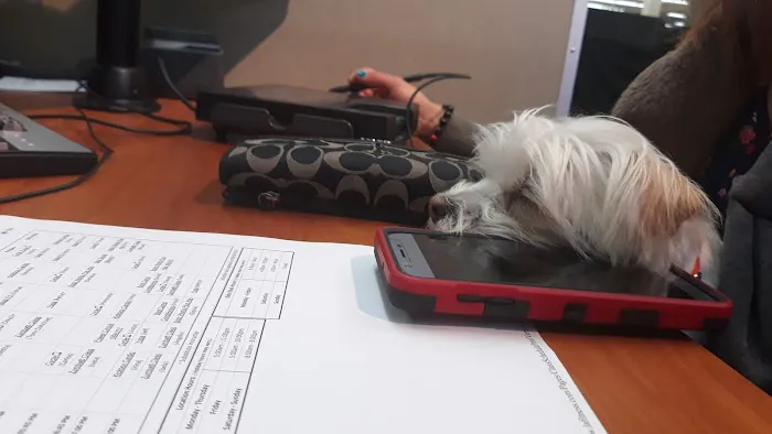 LA Fitness Picture 4