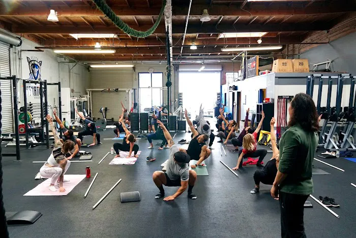 IKON Strength & Performance Picture 3