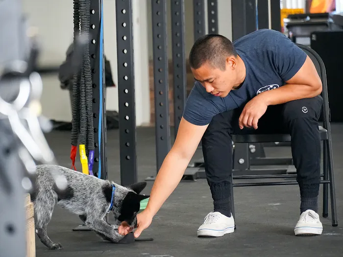 IKON Strength & Performance Picture 7