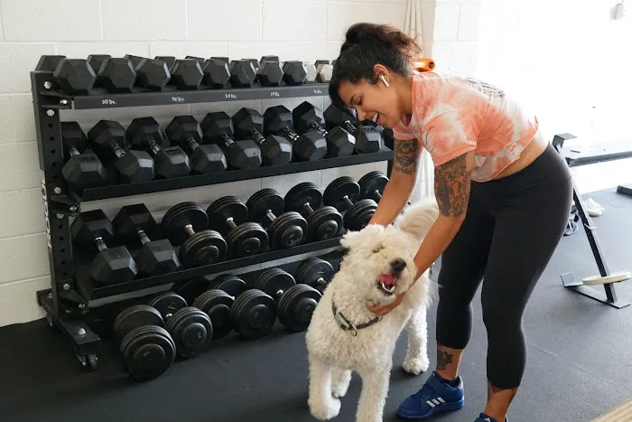 IKON Strength & Performance Picture 4