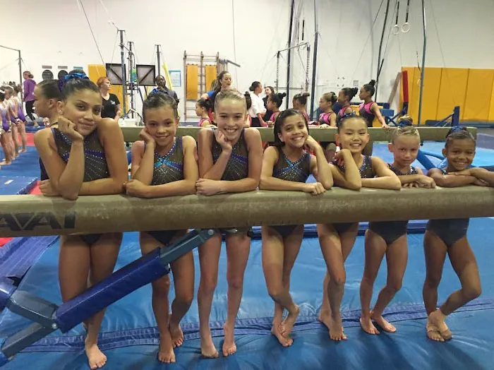 Flight School Gymnastics Picture 3