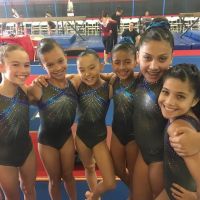 Flight School Gymnastics ico