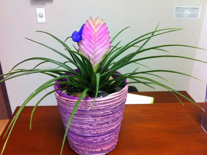 Transformation Wellness Center Picture 9