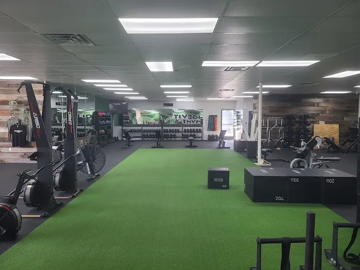 Longevity MVMT Picture 8