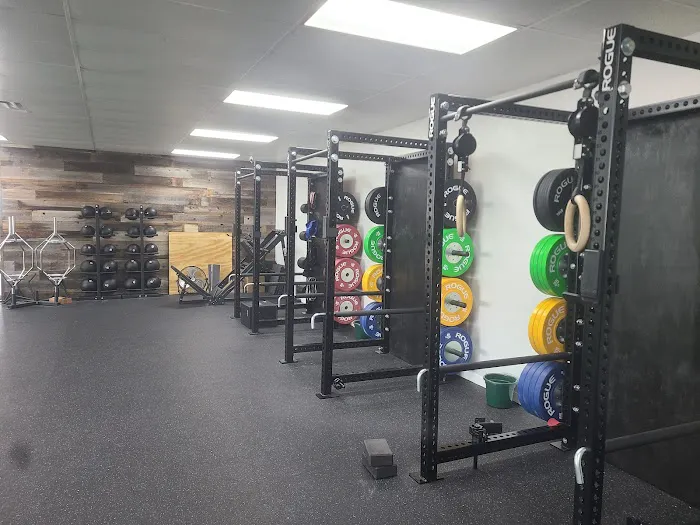 Longevity MVMT Picture 3