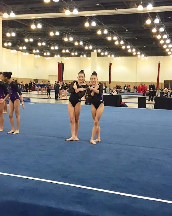 New Hope Academy of Gymnastics Picture 9