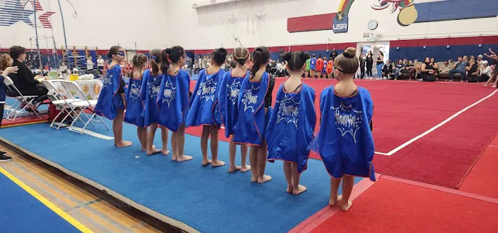 New Hope Academy of Gymnastics Picture 3