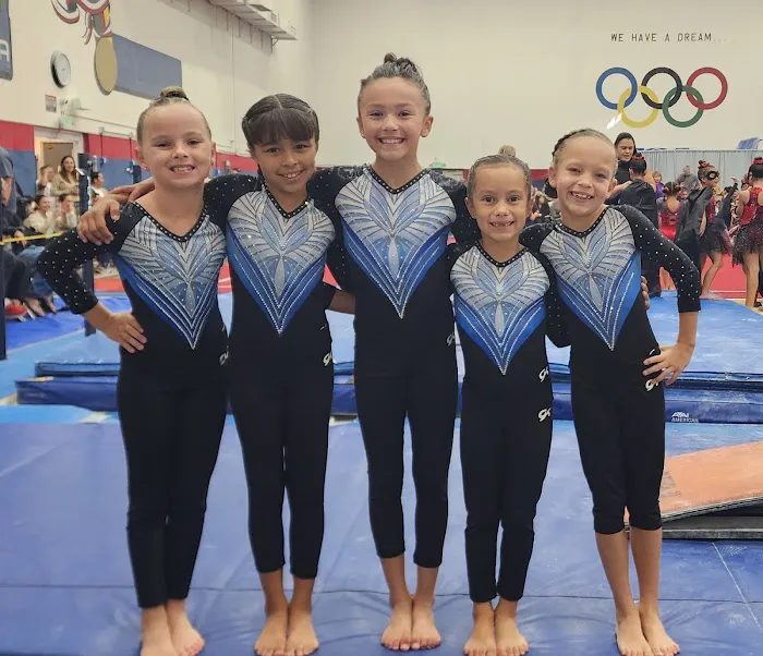 New Hope Academy of Gymnastics Picture 2