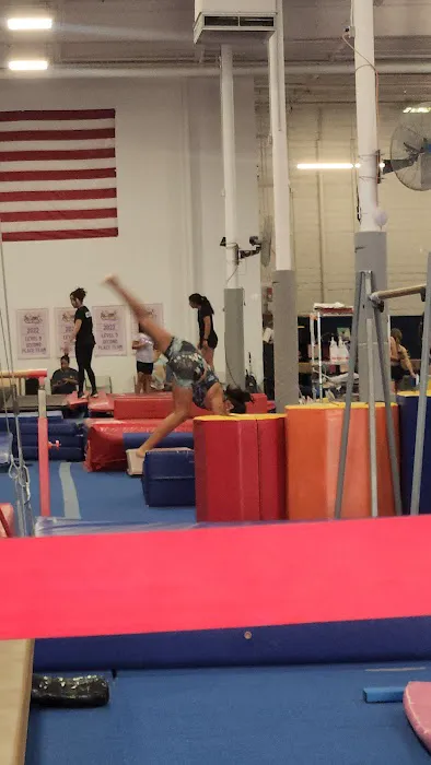 VIBE Gymnastics Picture 6