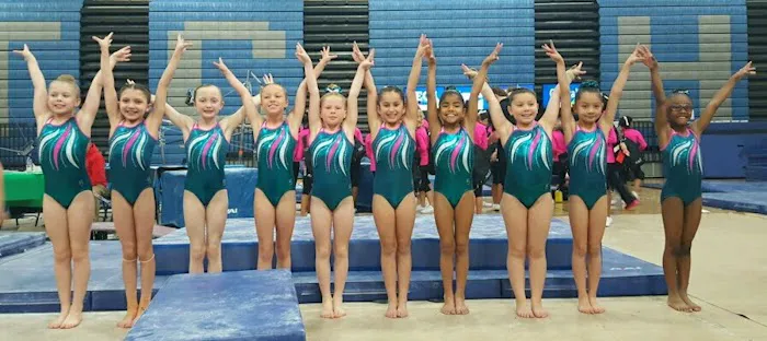 VIBE Gymnastics Picture 1