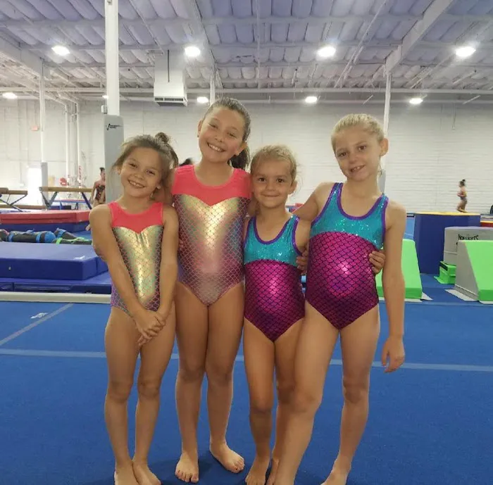 VIBE Gymnastics Picture 7