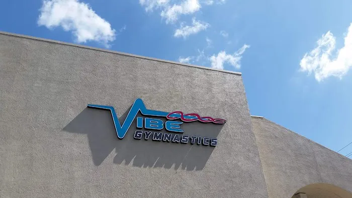 VIBE Gymnastics Picture 5