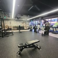 MCM Gym ico