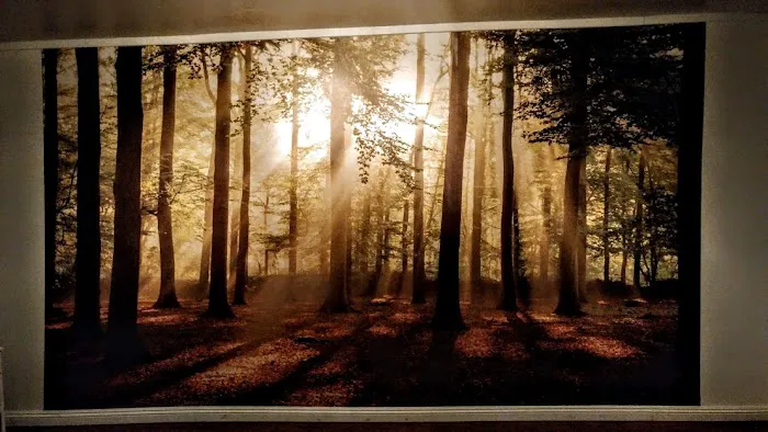 Highland Park Yoga Picture 6