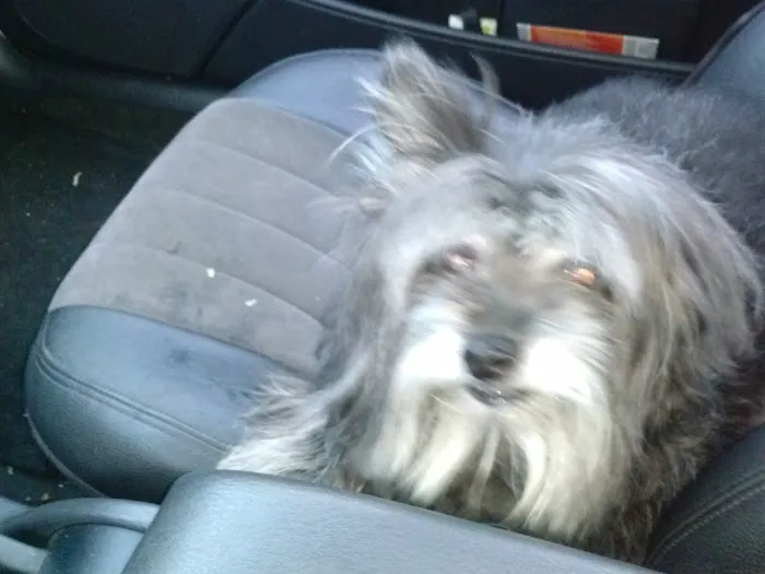 Club Pilates Picture 8