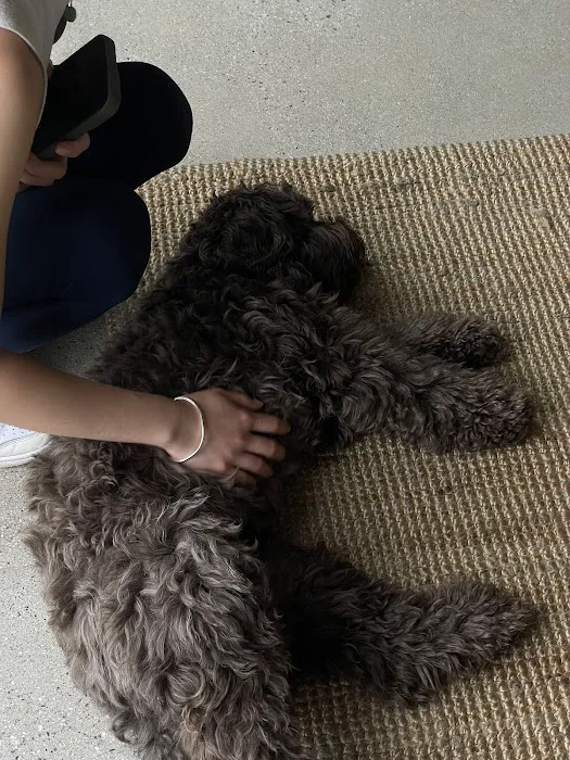 XTP by LUXE Pilates Picture 3