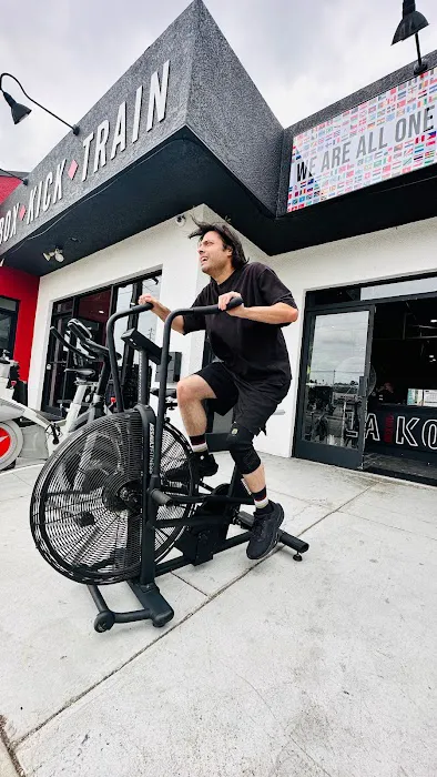LAKO Boxing Club & Training Studio Picture 8