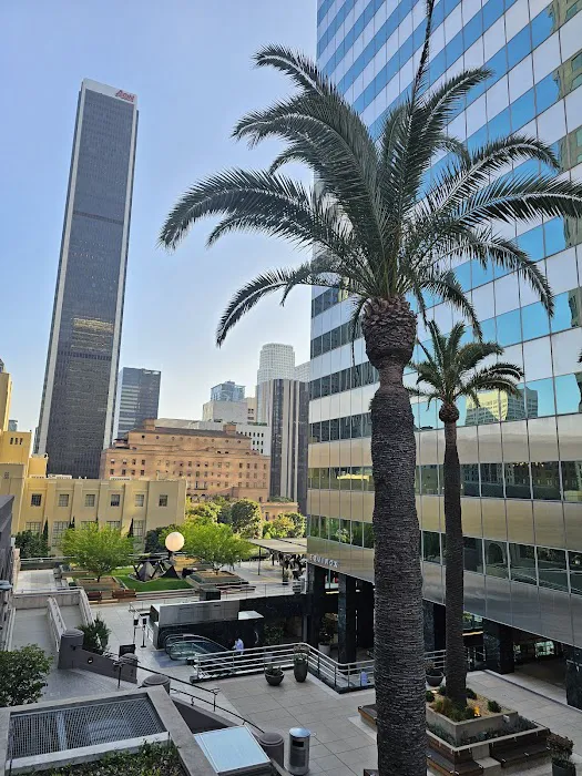 Equinox Downtown LA Picture 5