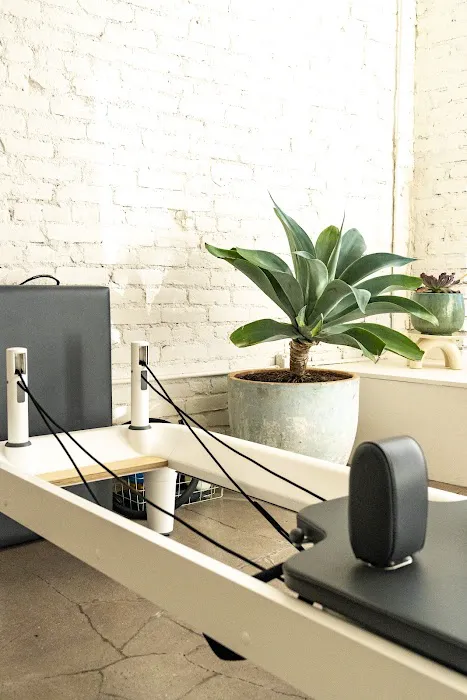 l.a. springs Picture 3