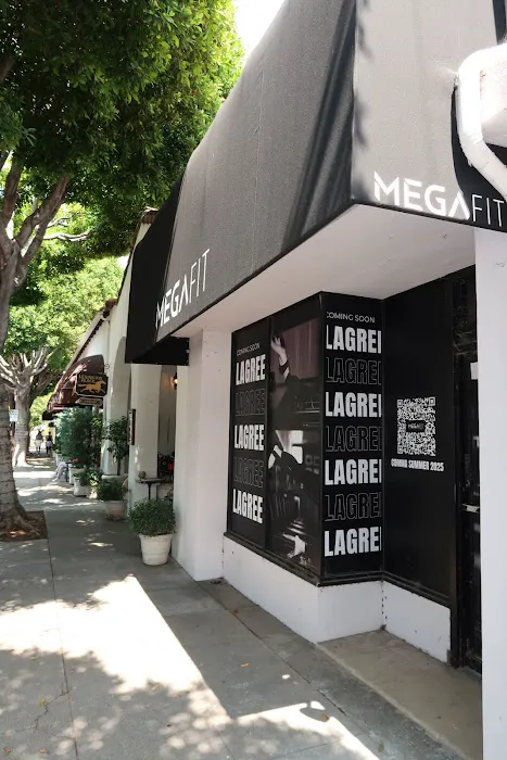 MegaFit by Lagree - San Marino Picture 1