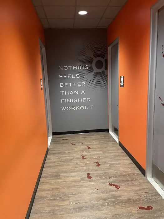 Orangetheory Fitness Picture 6
