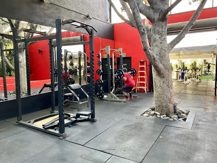 Speakeasy Fitness - Pasadena Picture 9