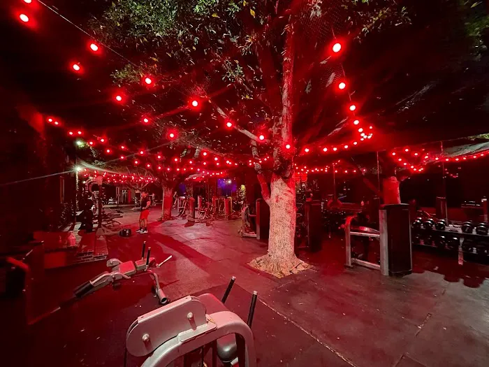 Speakeasy Fitness - Pasadena Picture 2