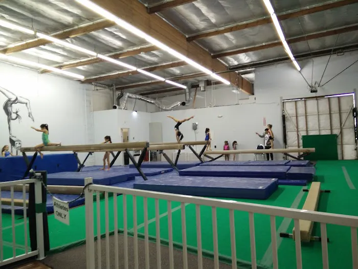 Club Champion Gymnastics Picture 1