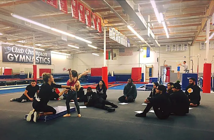 Club Champion Gymnastics Picture 6